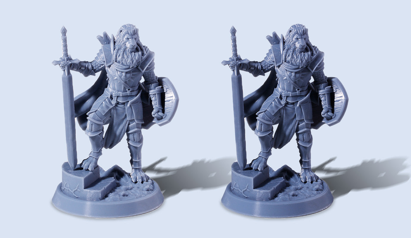 ANYCUBIC-IT
