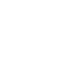 ANYCUBIC-IT