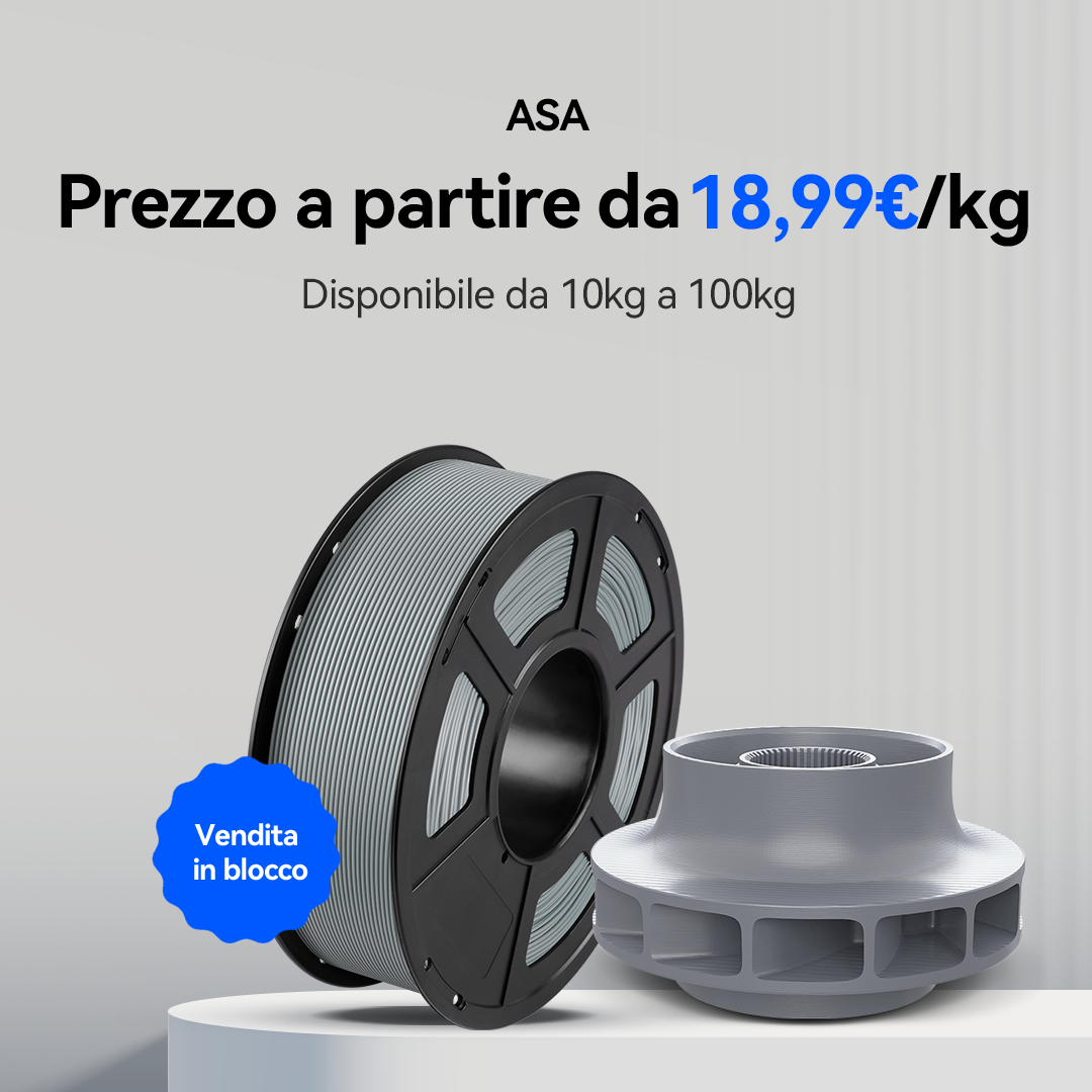 ASA 10-100kg Offerte