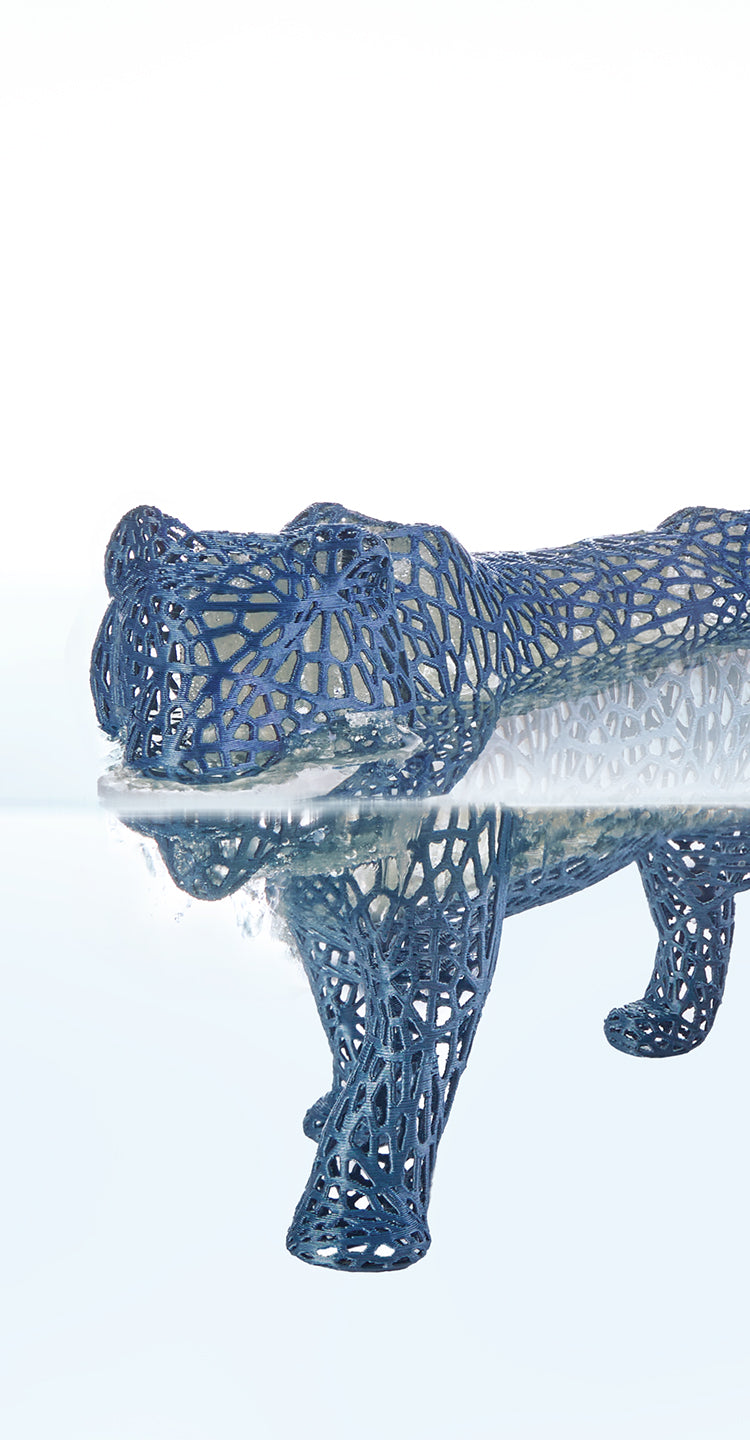ANYCUBIC-IT