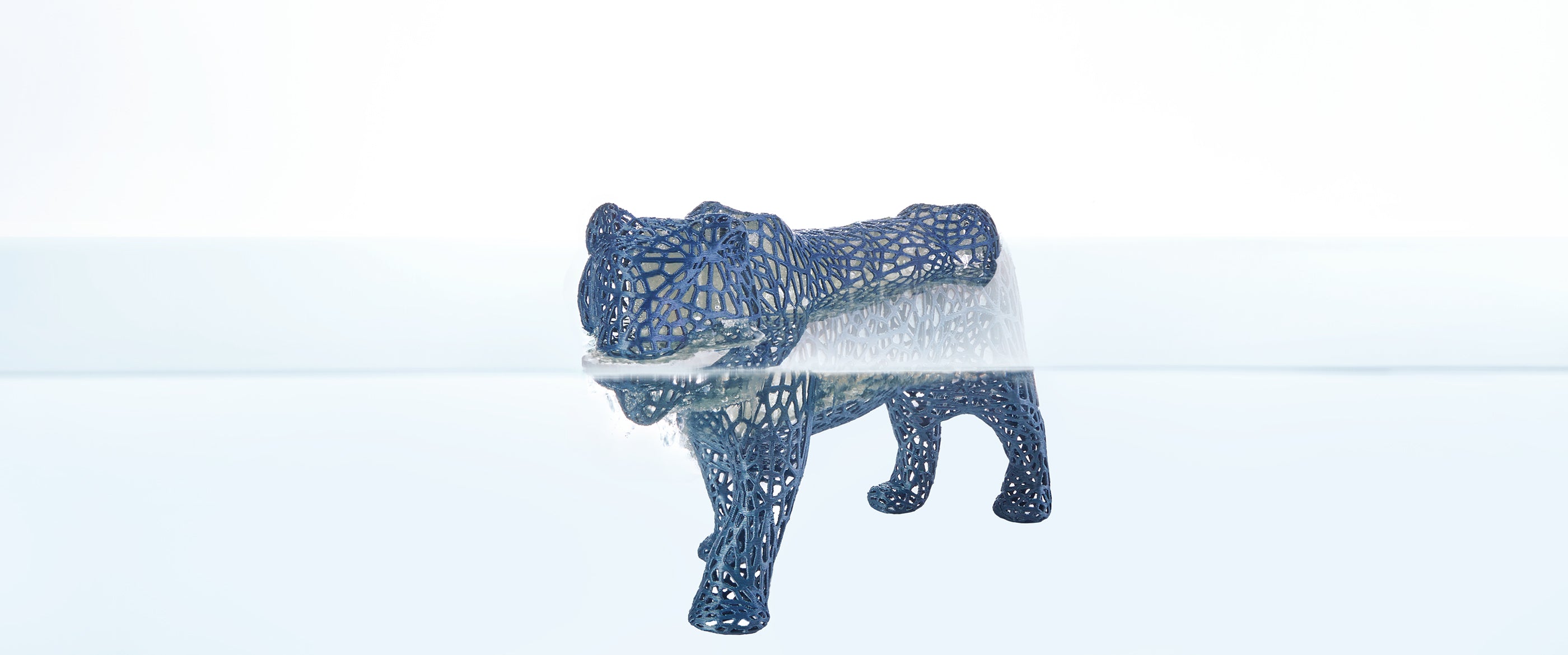 ANYCUBIC-IT