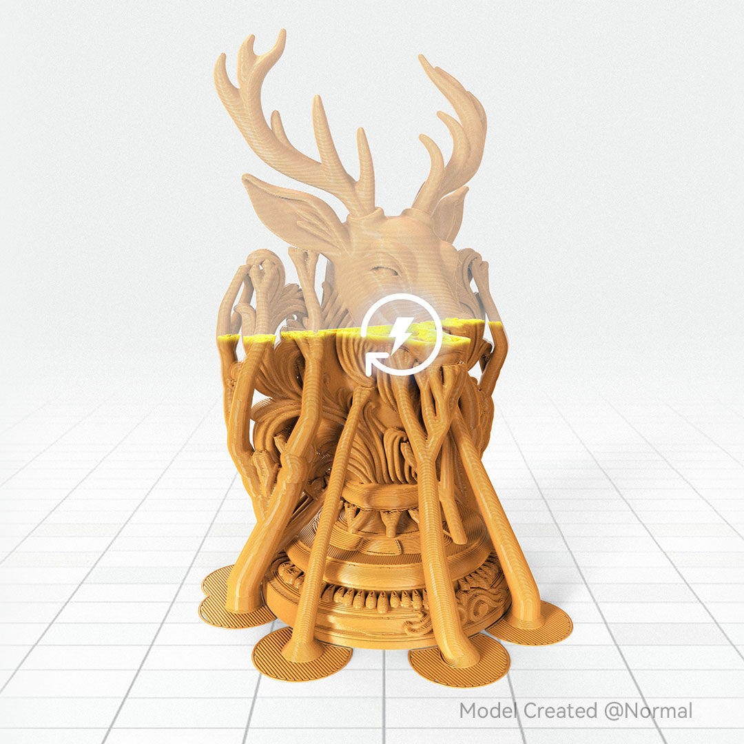 ANYCUBIC-IT