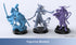 ANYCUBIC-IT